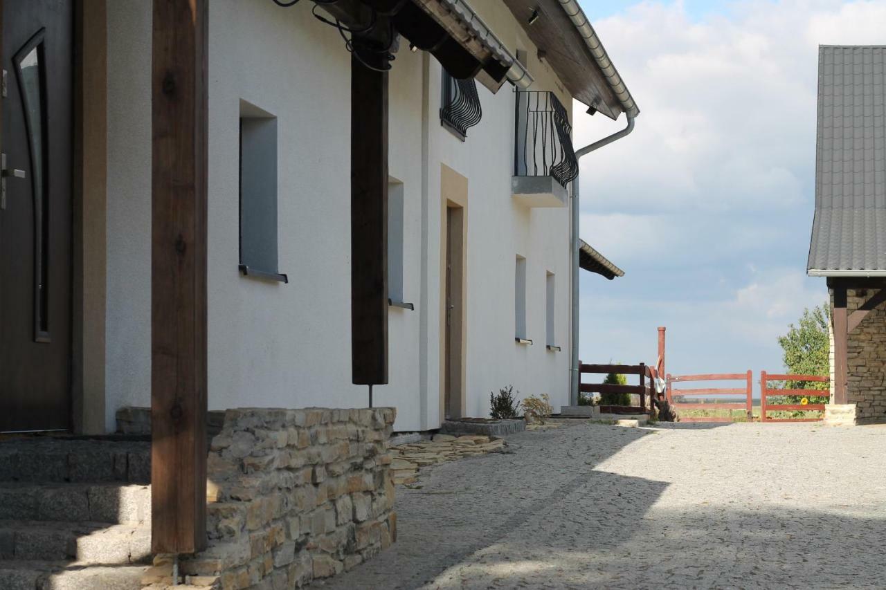 Villa Ranczo- Czarnocin à Olszowa Extérieur photo